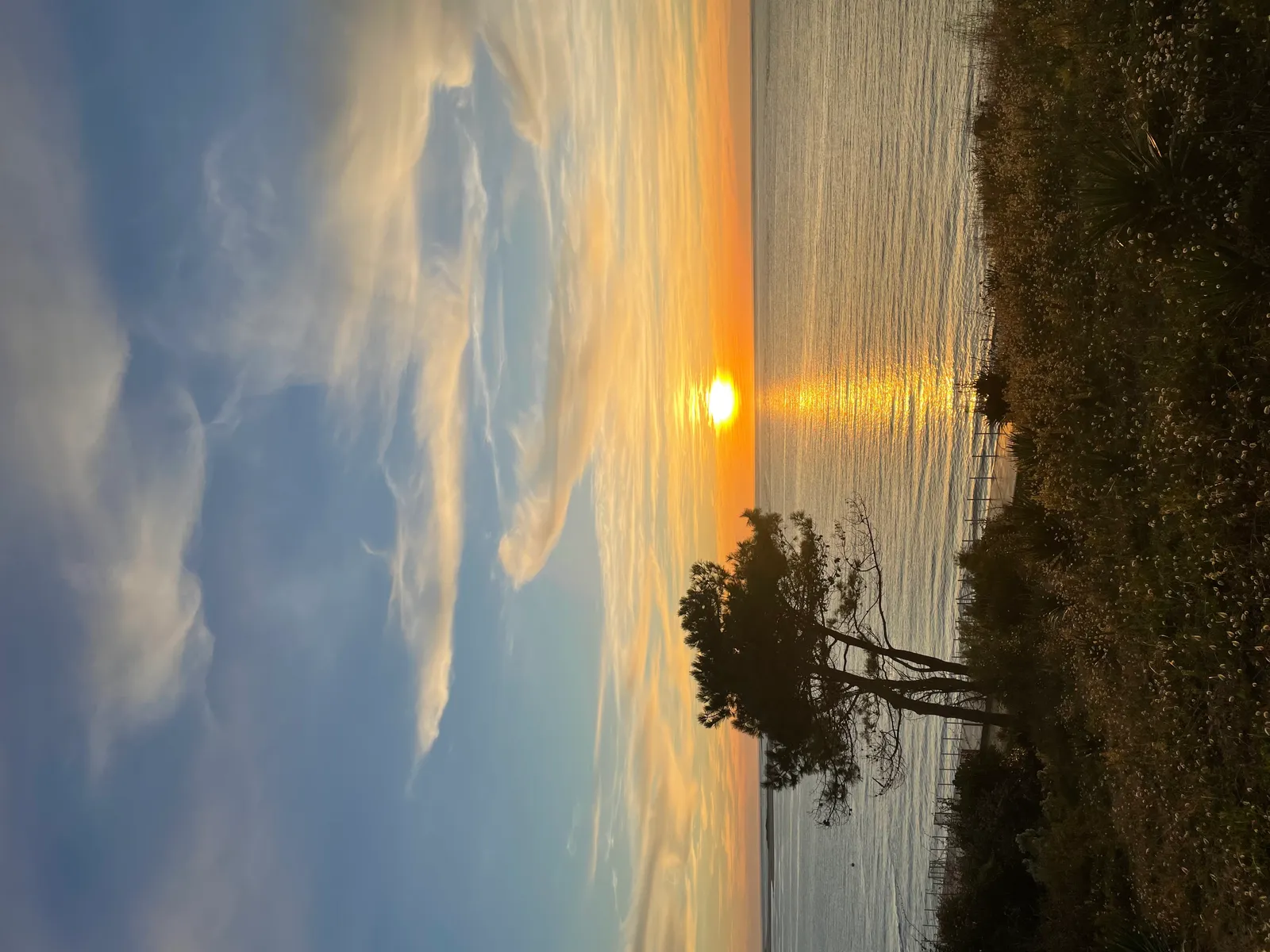 Comprendre les crises d'angoisse