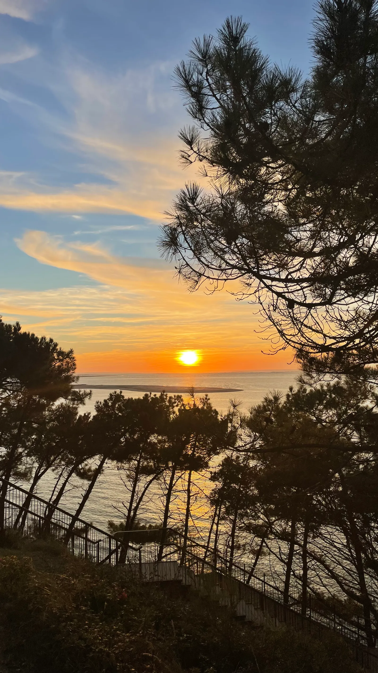 Comprendre la différence entre anxiété et stress