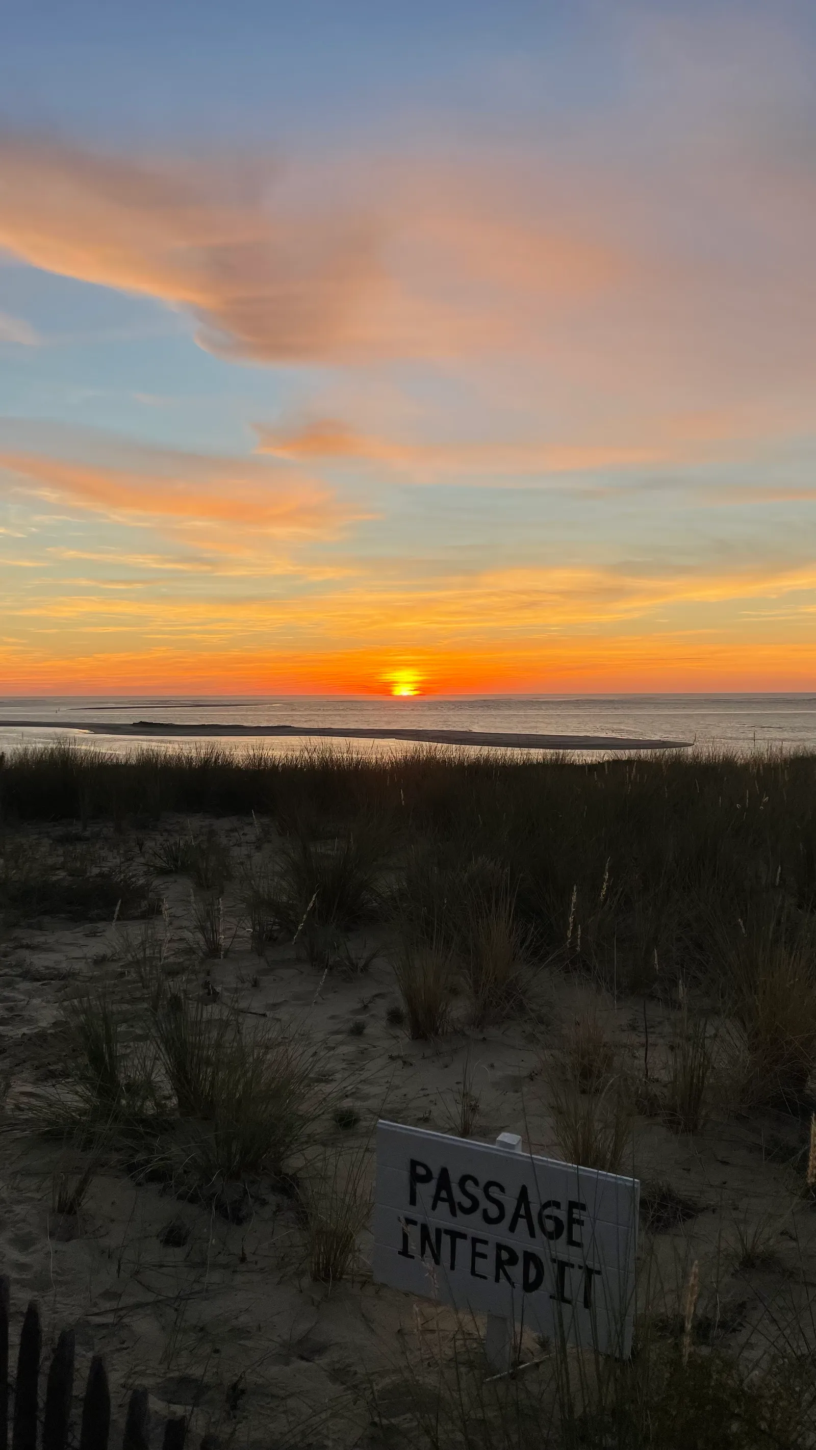 Comprendre la différence entre anxiété et stress